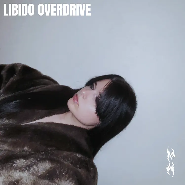 Libido Overdrive — cover artwork